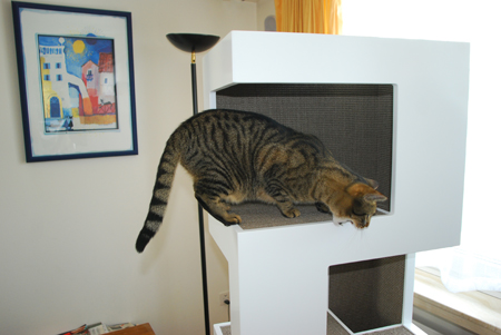 Doberneckers Katzenbaum-Designstück «The One» in Charlys Härtetest